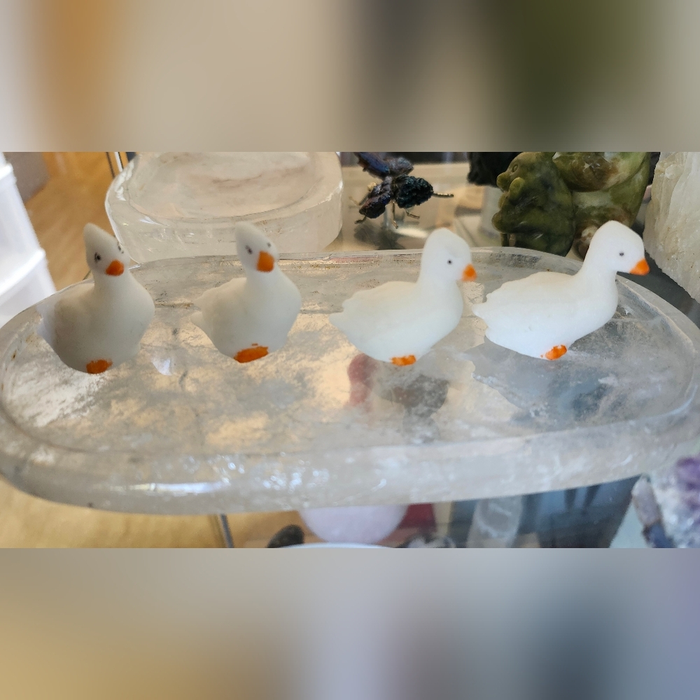 SOLD White Jade Ducks (4)